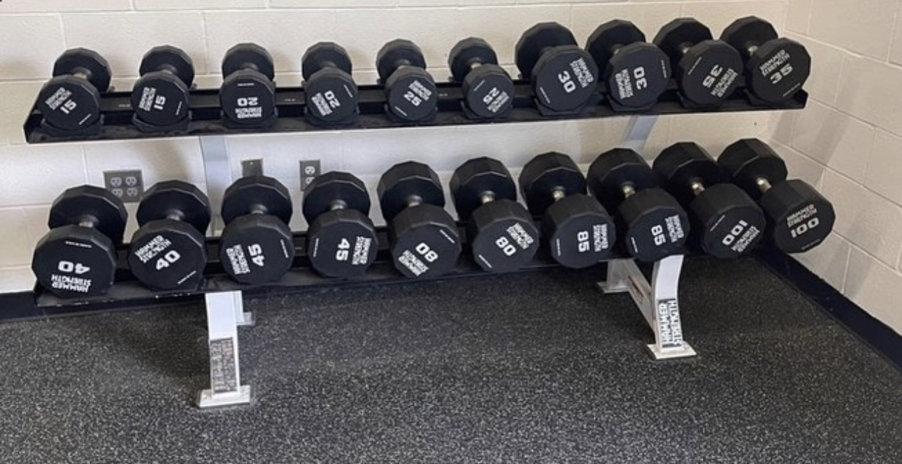 Hammer Strength 12-Sided Urethane Dumbbells With 3 Hammer Racks ...